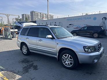 Subaru: Subaru Forester: 2004 г., Автомат, Бензин, Кроссовер — 5