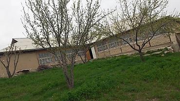 Продажа домов: 5 комнат, 120 м², 40 соток, Бишкек, Собственник — 3