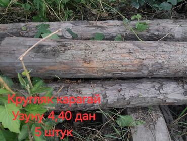 где купить дрова для бани: Брус, Сосна