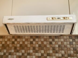 papci şəkilləri: Aspirator rəng - Ağ, İşlənmiş