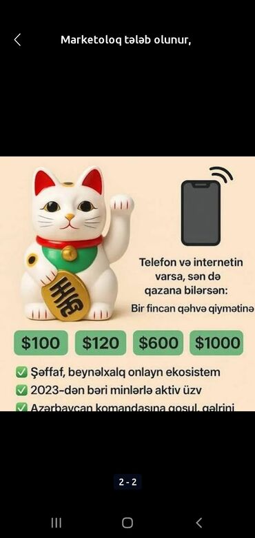 call center operator: Xanımlar və cənablar Sizi daim artımlı gəlir imkanı olan işlə tanış