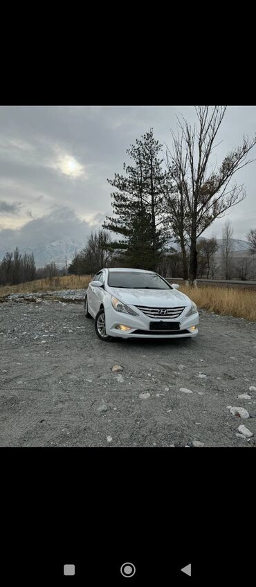 Hyundai: Hyundai Sonata: 2010 г., 2 л, Типтроник, Газ