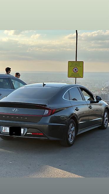 sonata: Hyundai Sonata: 2019 г., 2 л, Автомат, Газ — 3