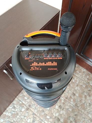 sekaku mikrafon: Karaoke partnyoru olan portativ səs sistemi – Sing-e ZQS8302 — 2