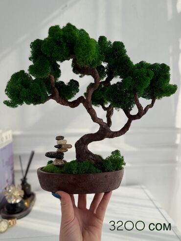Декоративные цветы: Деревья-бонсай из натурального стабилизированного мха🌳 -это — 32