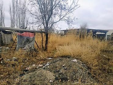 Продажа коттеджей и домов: !!!Срочно!!! Продается дом с участком 15 соток в тихом местечке — 14