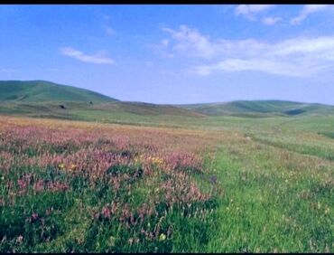 Bağ evlərinin satışı: Şəmkir, 100 kv. m, 3 otaqlı, Qaz, İşıq, Su -da lalafo.az — 11 Bağ evlərinin satışı: Şəmkir, 100 kv. m, 3 otaqlı, Qaz, İşıq, Su — 11