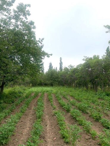 участок комсомол: Для бизнеса