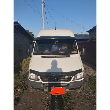 Mercedes-Benz: Mercedes-Benz Спринтер: 2003 г., 2.9 л, Механика, Дизель, Бус