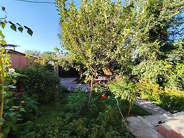 Продажа коттеджей и домов: Уй сатылат Город Кара Балта Шарттары бар. : газ, муздак-ыссык суу — 4