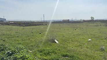 Torpaq: 22 sot, Kənd təsərrüfatı, Mülkiyyətçi, Kupça (Çıxarış) — 6