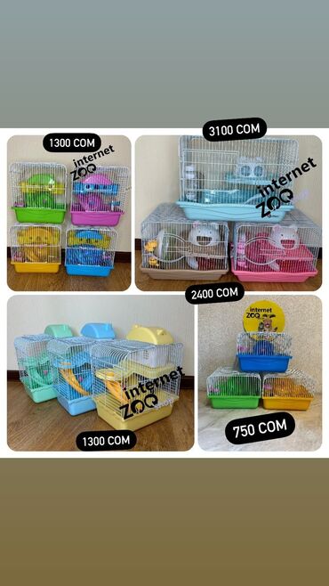 продам клетку: У нас большой выбор клеток для хомяков. Одноэтажные, двухэтажные