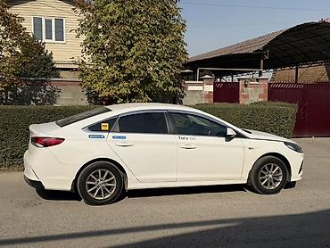 lexus 350 es: Hyundai Sonata: 2020 г., 2 л, Автомат, Газ, Седан — 10