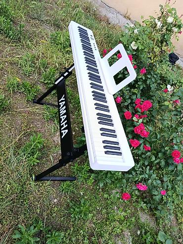 Digər auditexnika: Piano kursuna başlayanlar üçün,Piano müəllimləri üçün uyğundur — 5