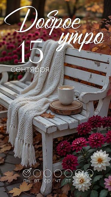 Буржуйки: Твердотопливные отопительные устройства и аксессуары,мойки Аквабласт — 68