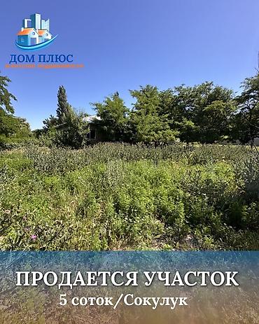 думал: 5 соток, Для строительства — 1