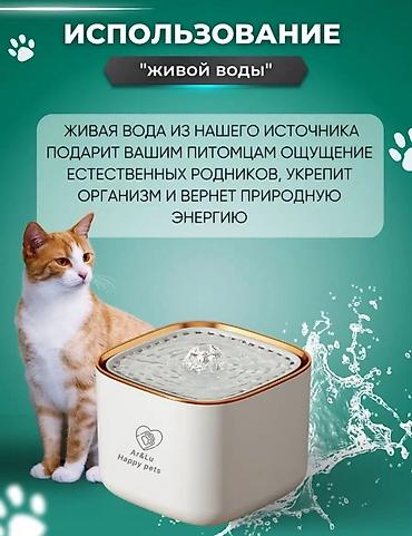 поилка для кошек: Почти новая, не пользовались. Без фильтра. Вам надо лишь докупить — 4