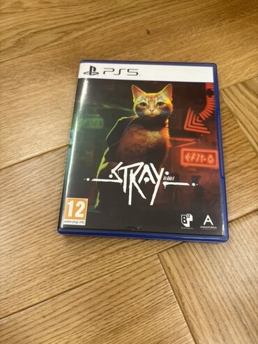Информатика: Stray video oyunu, PS5 platforması üçün hazırlanmışdır. Oyunda əsas