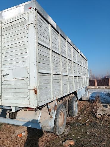 зерновой шнек: Прицеп, Камаз, от 12 т, Б/у — 3