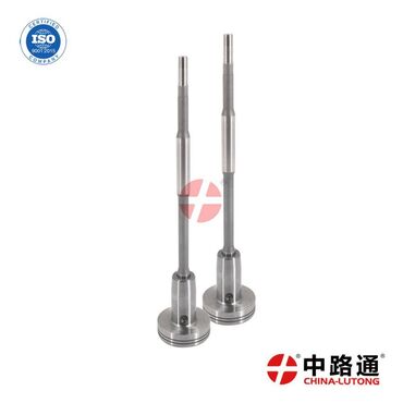 Common Rail Injector Valve Assembly F00RJ02044 VE China Lutong is