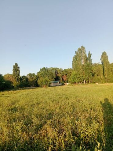 Продажа домов: Дом, 80 м², 2 комнаты, Собственник, Старый ремонт — 8