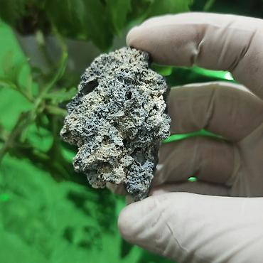 Digər kolleksiyalar: UV Parlayan Təbii Daş Satılır – Kolleksiya üçün Nadir Kristal 💎 — 4