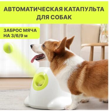 Зоотовары: Автоматическая катапульта мячей для собак Работает от сети В
