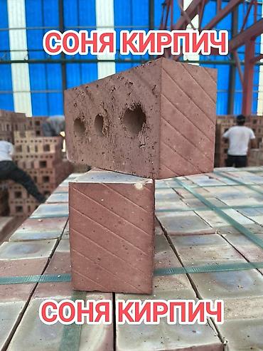 кафельный станок: Пустотелый, дырчатый, Жженый кирпич, Полублок, 250×120×90 — 3