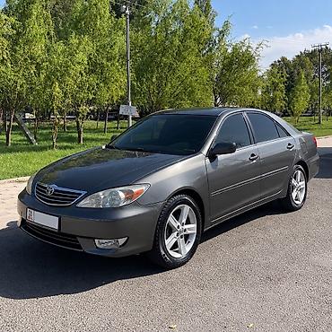 r17 225 x 50: Toyota Camry: 2003 г., 2.4 л, Автомат, Бензин, Седан — 1