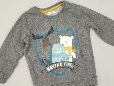 kurtka dla chłopca: Sweatshirt, 12-18 months, condition - Good