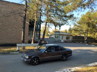 Mercedes-Benz: Mercedes-Benz W124: 1991 г., 2.9 л, Механика, Дизель, Седан