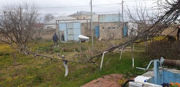 Torpaq sahələrinin satışı: 34 sot, Tikinti, Mülkiyyətçi, Kupça (Çıxarış) -da lalafo.az — 25 Torpaq sahələrinin satışı: 34 sot, Tikinti, Mülkiyyətçi, Kupça (Çıxarış) — 25