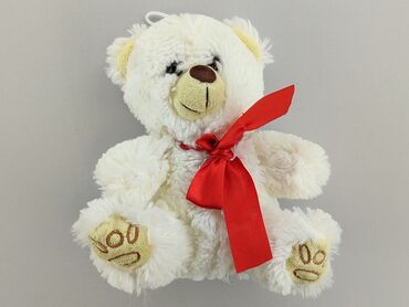 Mascots: Mascot Teddy bear, condition - Perfect