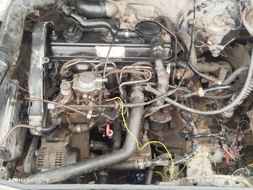 Volkswagen: Volkswagen Golf: 1994 г., 1.9 л, Механика, Дизель — 9