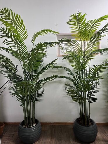 Декоративные цветы: Искусственные деревья и цветы — долговечный и стильный декор без at lalafo.kg — 20 Декоративные цветы: Искусственные деревья и цветы — долговечный и стильный декор без — 20