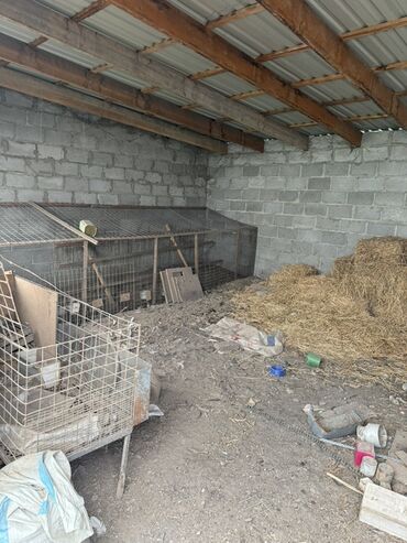 Продажа домов: Дом, 120 м², 6 комнат, Собственник, Косметический ремонт — 5