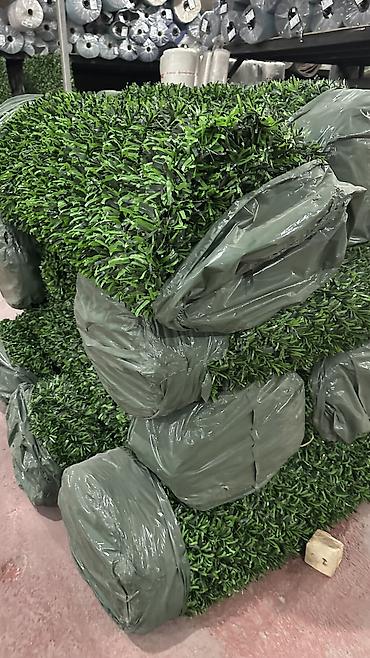 kələm gülü: 🌿 Yaşıl Hasar – Təbii Görünüş, Uzunömürlü Keyfiyyət! 🌿 🏗 Paslanmaz — 1