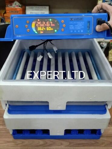 Toyuqlar: Toyuq, Yumurtalıq, Ünvandan götürmə, Ödənişli çatdırılma, Rayonlara çatdırılma — 11