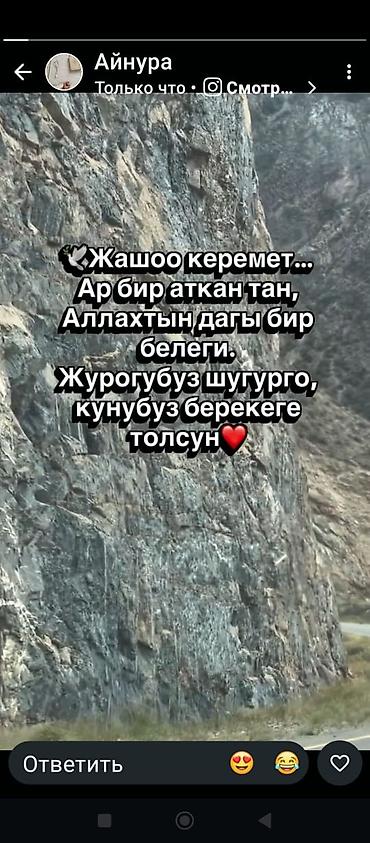металлические двери бишкек: Настенная табличка/постер с мотивационной надписью на кыргызском — 1