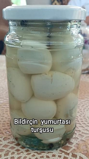 Quşlar: Bildriçin yumurtası. Sən hələ bildirçin yumurtalarına baxıb “Bu — 4