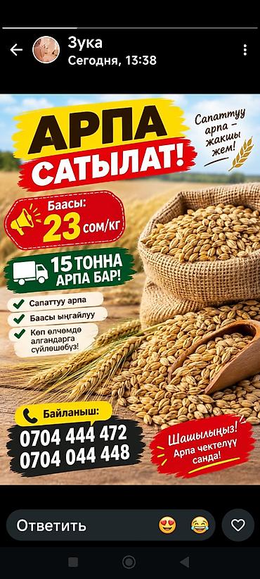 гул челек: Кому надо Арпа оптом 15 т — 1
