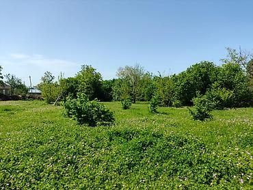 Torpaq sahələrinin satışı: 4 sot, Tikinti — 12