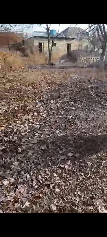 Torpaq sahələrinin satışı: 6 sot, Kupça (Çıxarış) — 7