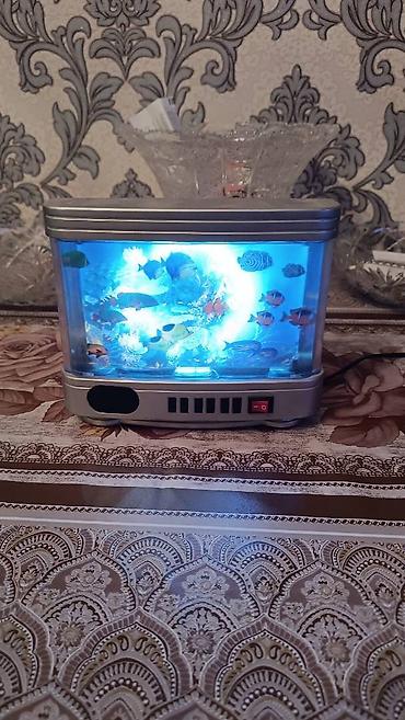 ev kirpisi: 🐠 Dekorativ Akvarium Lampa – Sakitləşdirici Mavi İşıqla Ev dekorunuza — 1