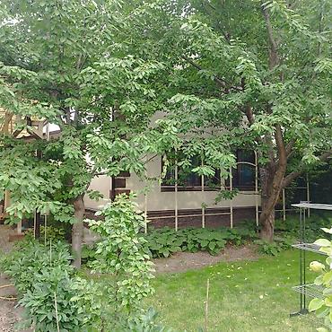 Продажа коттеджей и домов: ПРОДАЮ: Тихий, ухоженный, 5-ти комнатный частный дом, с зеленым — 1