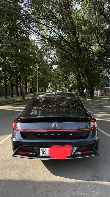 sonata: Hyundai Sonata: 2019 г., 2 л, Бензин — 8