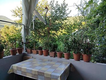 Həyət evləri və villaların satışı: 5 otaqlı, 600 kv. m — 9