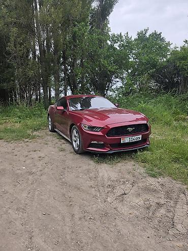 mustang: Ford Mustang: 2017 г., 3.7 л, Автомат, Бензин, Купе — 3