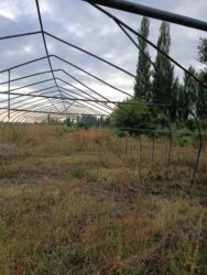 участок раздольное: Продаю Питомник растений, 400 соток, Не действующий, Частично с оборудованием