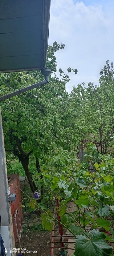 Həyət evləri və villaların satışı: 15 otaq, 300 kv. m, Kredit yoxdur, Orta təmir -da lalafo.az — 11 Həyət evləri və villaların satışı: 15 otaq, 300 kv. m, Kredit yoxdur, Orta təmir — 11